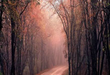 星空体育:CBA:新疆男篮关键战 赵睿继续缺席.