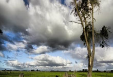 德甲综合:勒沃库森连追三球 逆转绝杀斯图加特.