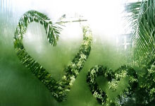 星空体育:女足欧冠淘汰赛首回合输2球逆转晋级,阿森纳是.