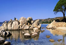 星空体育:CBA:新疆男篮关键战 赵睿继续缺席.